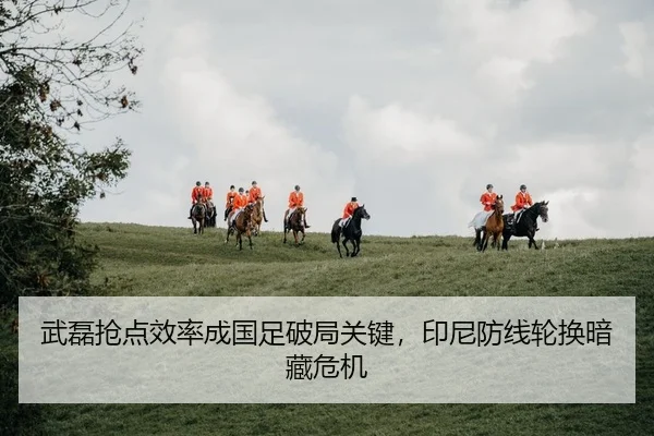 wu-lei-qiang-dian-xiao-lv-cheng-guo-zu-po-ju-guan-jian-yin-ni-fang-xian-lun-huan-an-cang-wei-ji-2-823.jpg